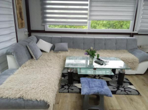 Apartman i Krčma u Planini